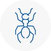 Ant Removals In Peterhead