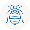 Bed Bug Extermination In Peterhead