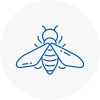 Bee Nest Removal Peterhead