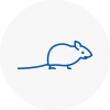 Mice Exterminators In Peterhead