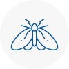 Moth Control Specialists In Peterhead