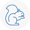 Peterhead Rodent Removals